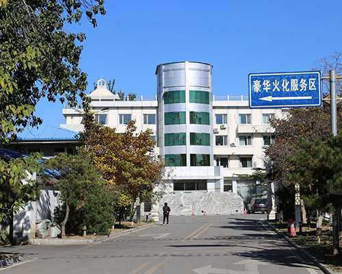 形婚试管生子-移植囊胚着床有感觉吗?5天囊胚移植几天着床?