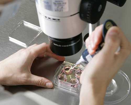 合肥哪个医院供卵,合肥安医大试管成功率高吗合肥安医大做试管多少钱