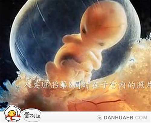 天津供卵哪家好_女性做试管婴儿到底有多遭罪？