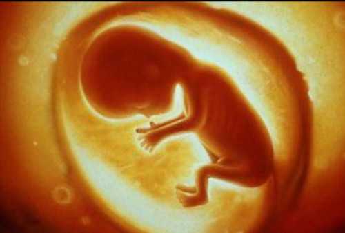 鹤峰职业代孕_第三代试管为什么只能移植一个？移植单胚胎还是双胚胎？