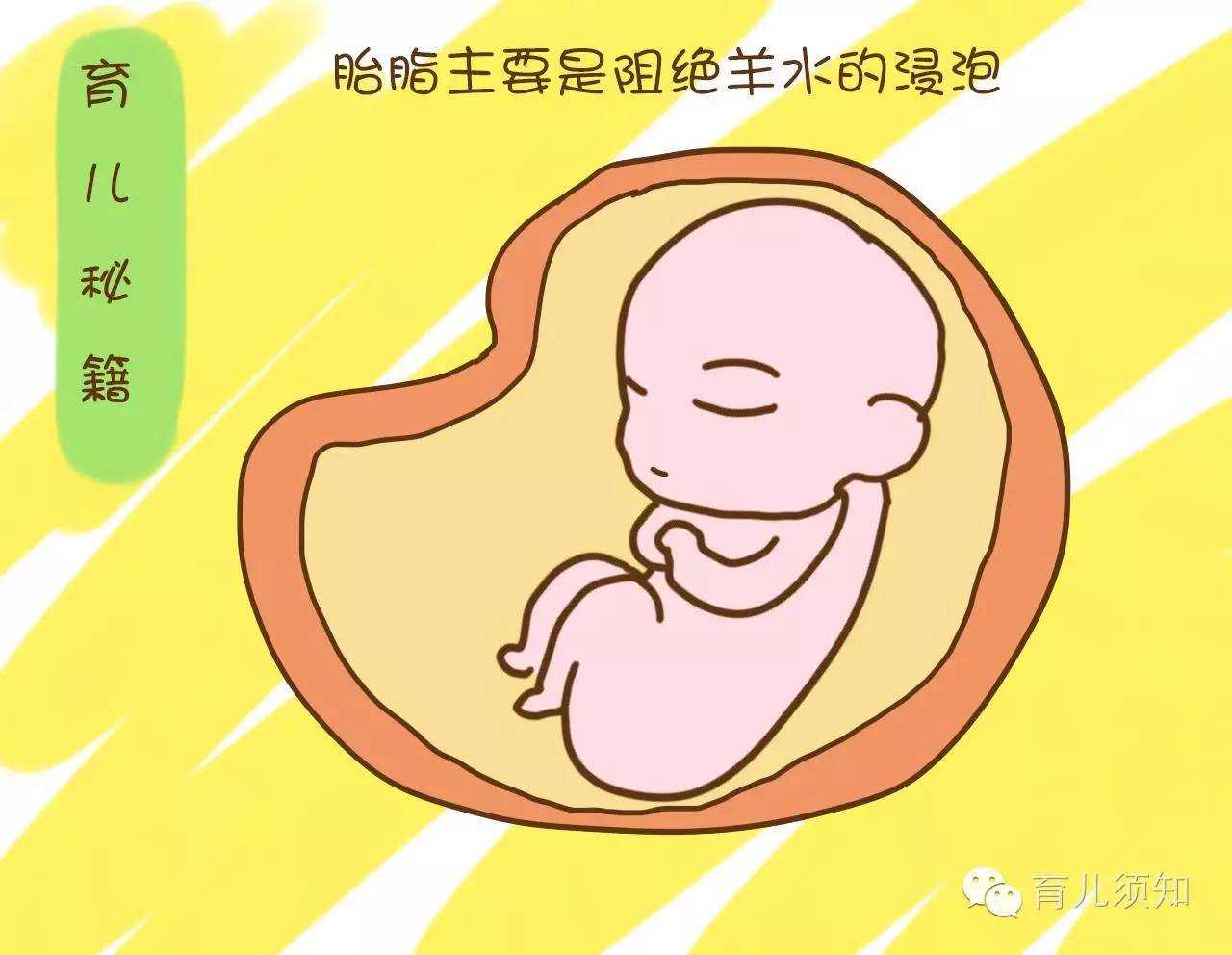 代孕怎么收费_郴州南院做试管婴儿要多少钱会不会非常贵呢