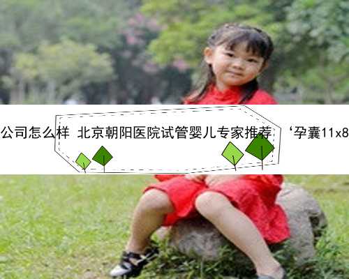 北京代孕产子公司怎么样 北京朝阳医院试管婴儿专家推荐 ‘孕囊11x8mm男孩女孩